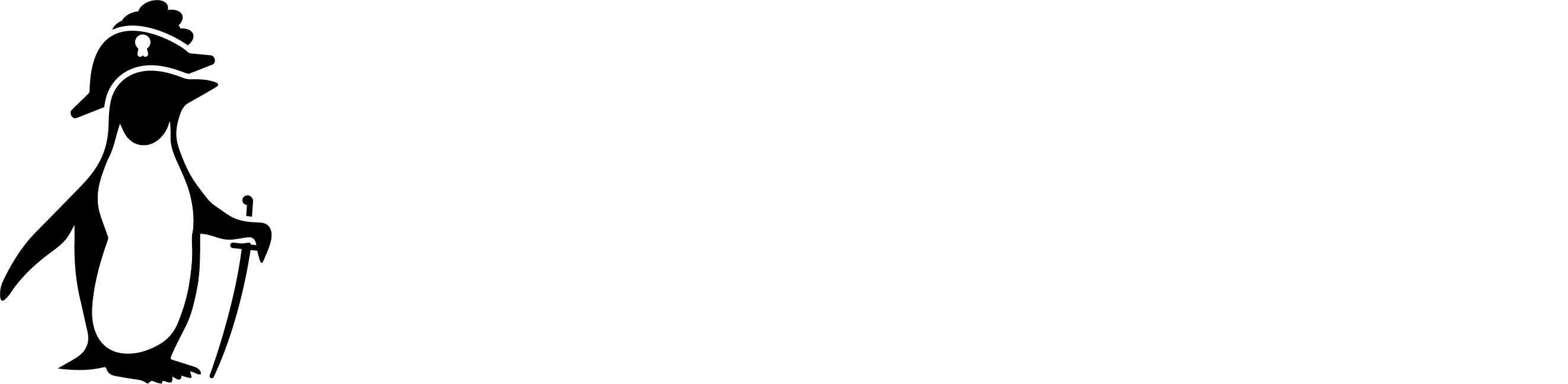 FS Logo