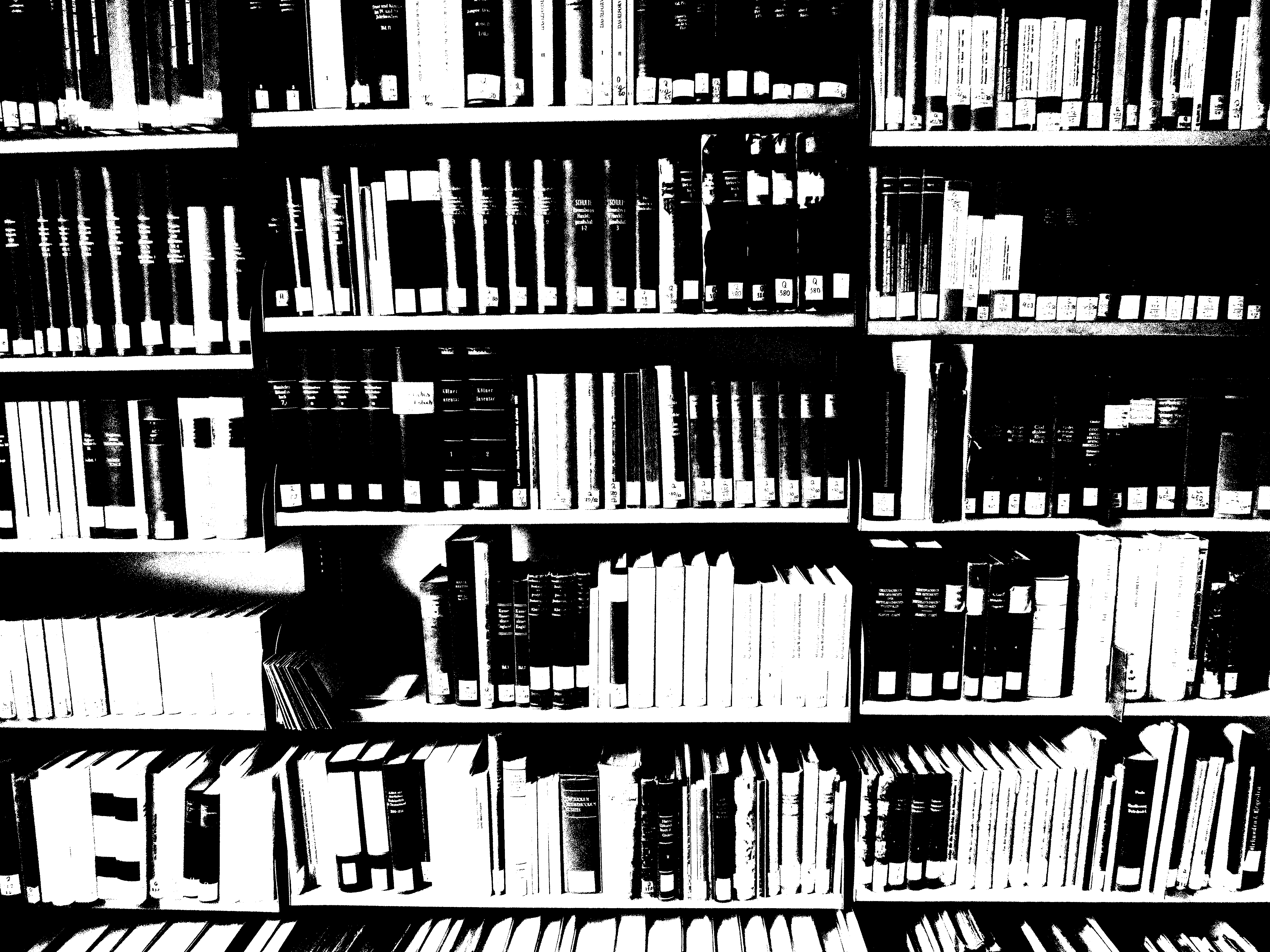 Bücherregal-sw.bmp